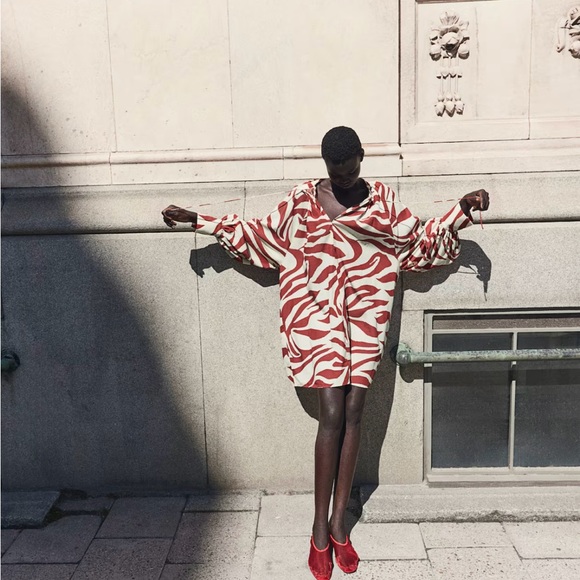 NEW W TAG BLOGGER FAVE OVERSIZED TIE DETAIL ZEBRA PRINT DRESS SIZE LARGE - Picture 5 of 9